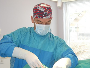 veterinarian performing animal surgery