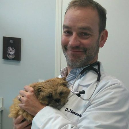 Dr. Hersman Holding Puppy, Veterinarian In Western MA, Wilbraham MA Veterinarian