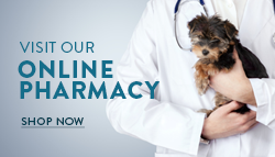 veterinary online pharmacy